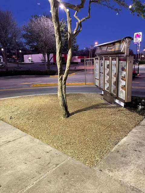 Reliable landscaping services for outdoor upgrades in Mesquite, TX by ENC Landscape Services