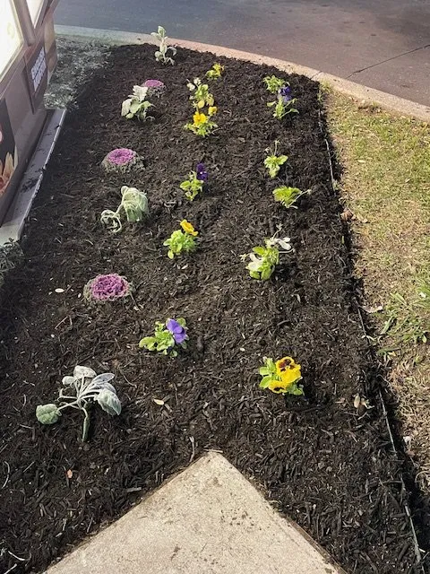 Top-rated yard maintenance experts serving Mesquite, TX - ENC Landscape Services