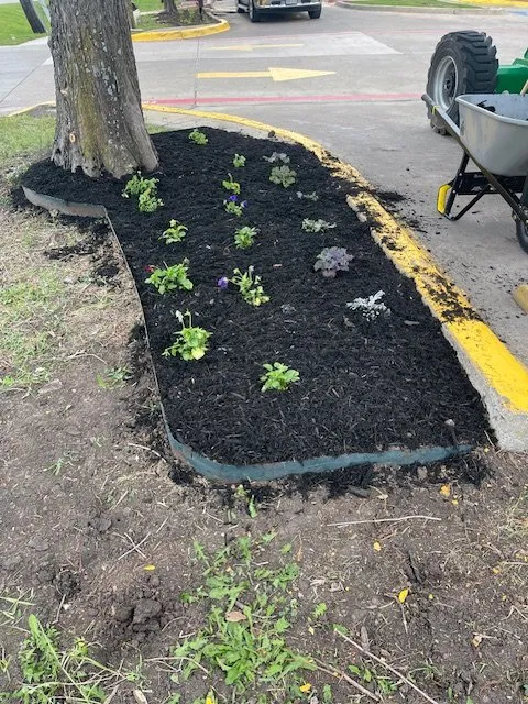 Local landscape design for residential properties in Mesquite, TX by ENC Landscape Services