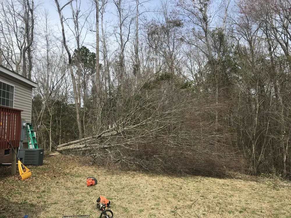 Reliable landscape installation for year-round maintenance in Jacksonville, NC by ENC LAWN AND STUMP