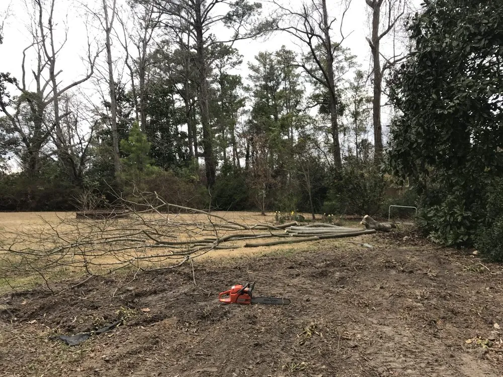 Affordable landscape design for year-round maintenance across Jacksonville, NC - ENC LAWN AND STUMP