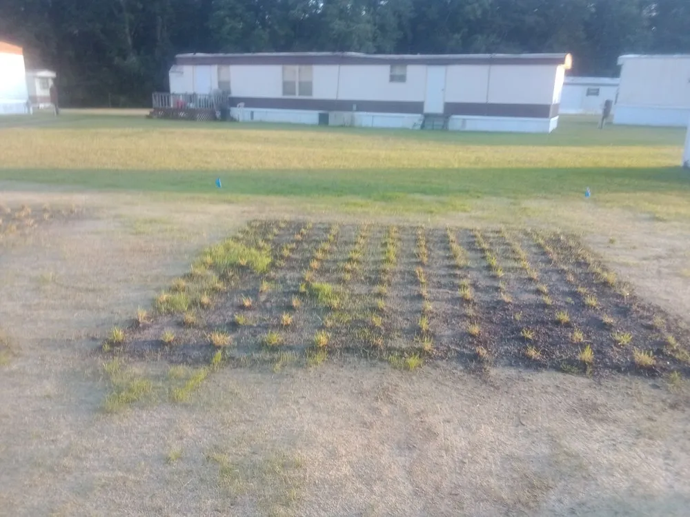 Professional yard cleanup service for year-round maintenance in Jacksonville, NC by Enc Turf Management