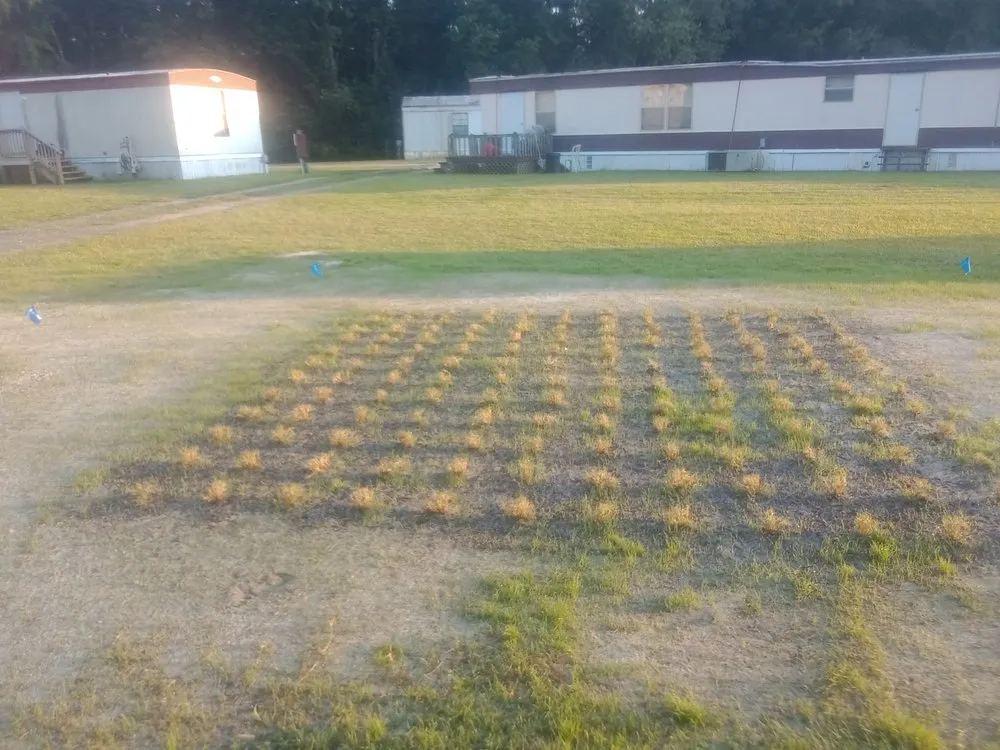 Reliable yard cleanup service for homes in Jacksonville, NC by Enc Turf Management