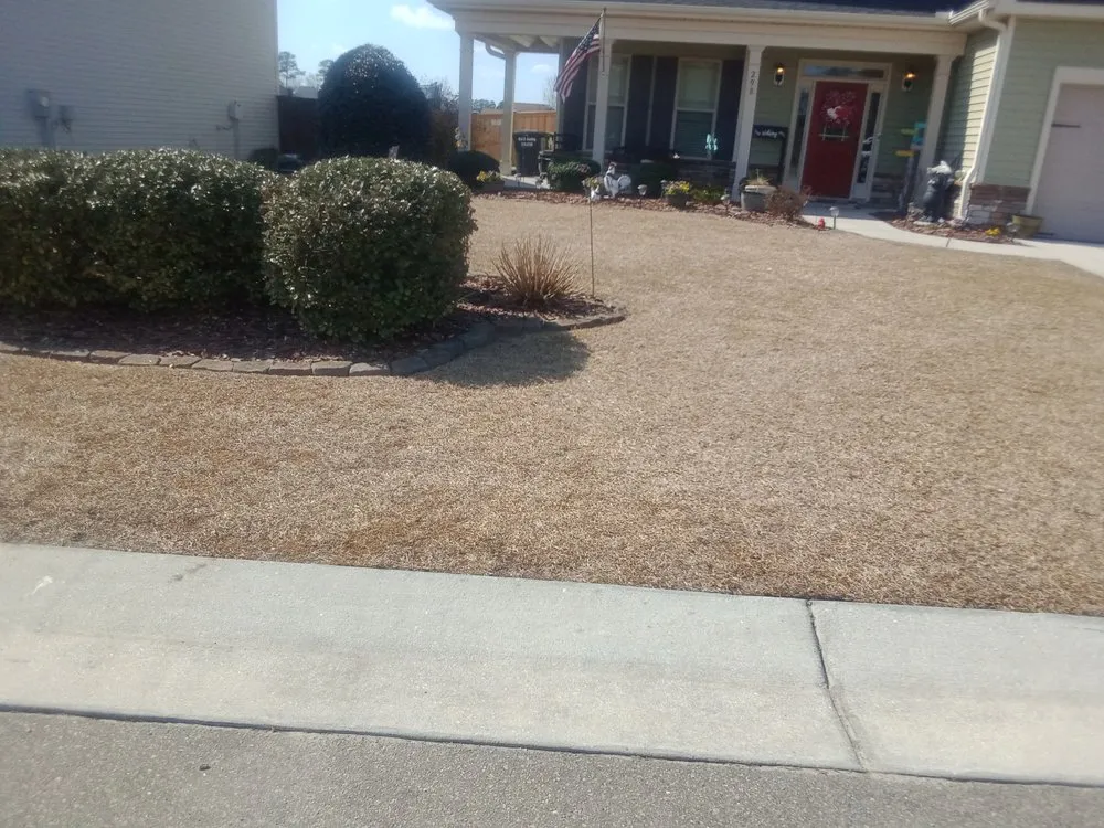 Reliable landscaping services in Jacksonville, NC by Enc Turf Management