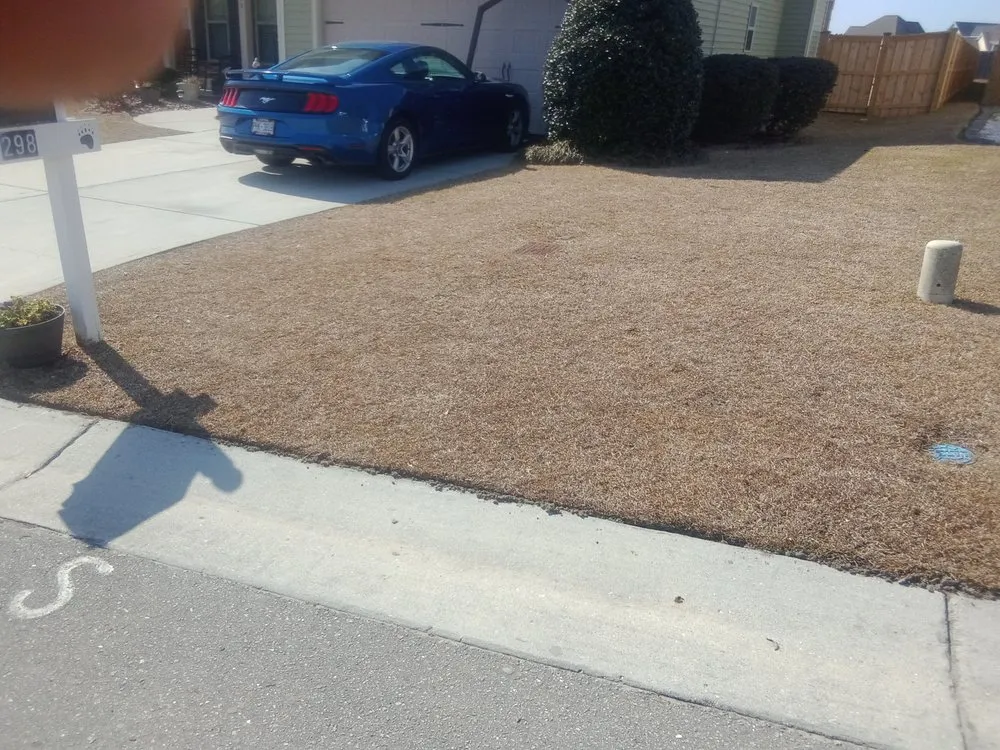Expert yard cleanup service in Jacksonville, NC - Enc Turf Management