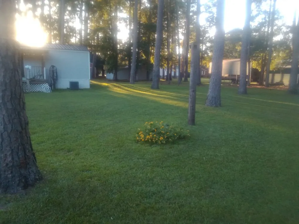 Trusted landscape design in Jacksonville, NC by Enc Turf Management