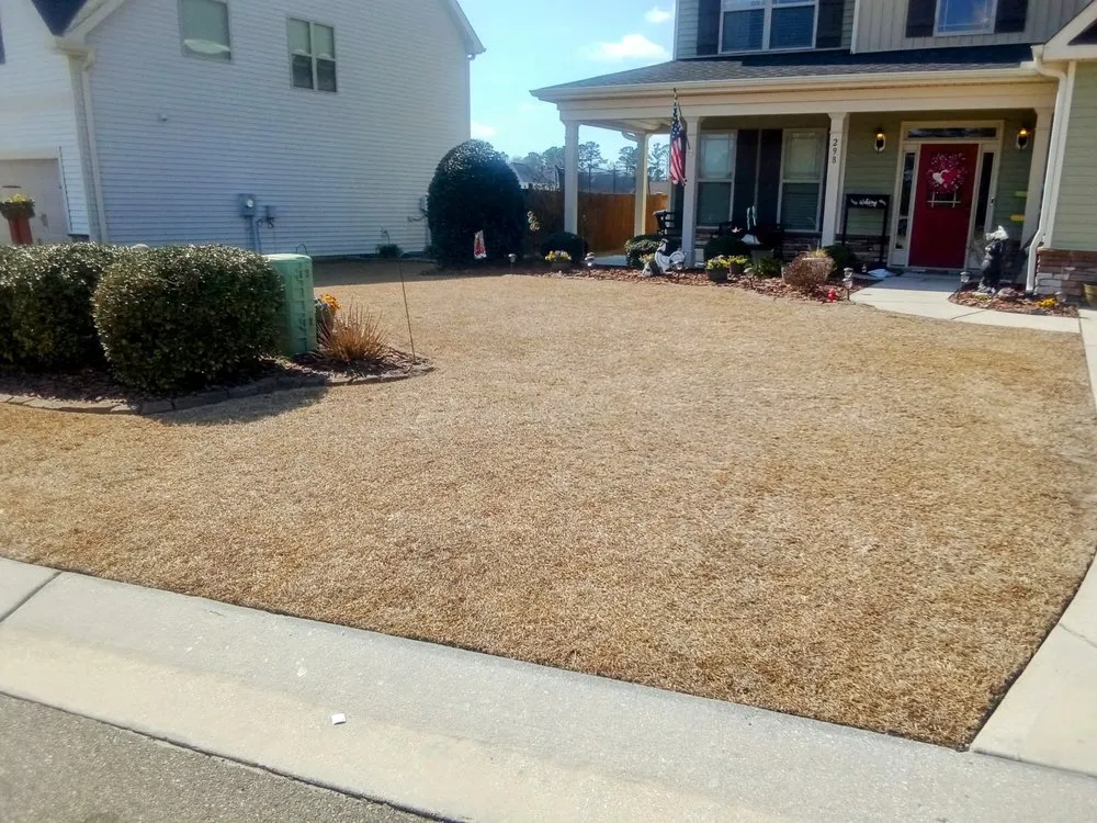 Trusted lawn care service for year-round maintenance in Jacksonville, NC by Enc Turf Management