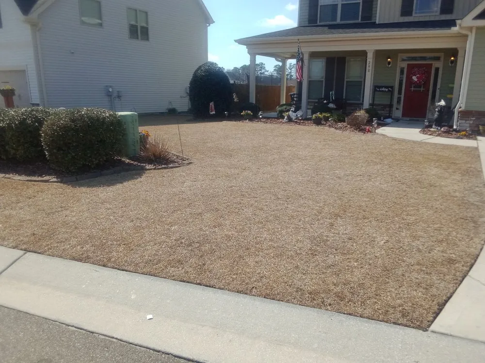 Custom outdoor landscaping in Jacksonville, NC - Enc Turf Management