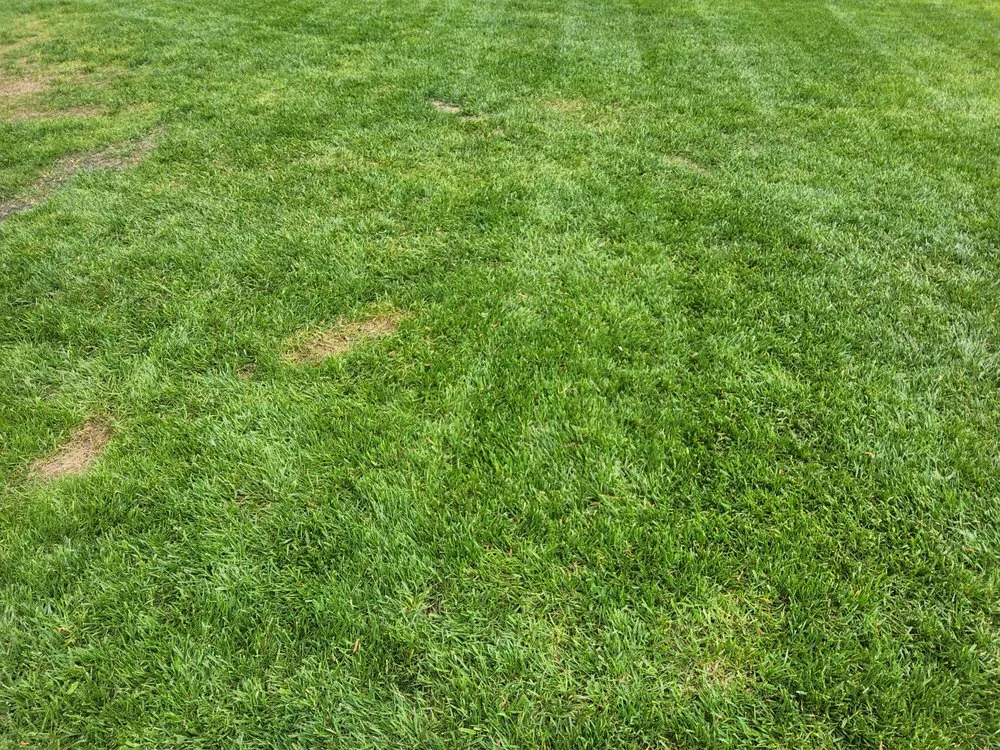 Trusted lawn mowing service in Jacksonville, NC - Enc Turf Management