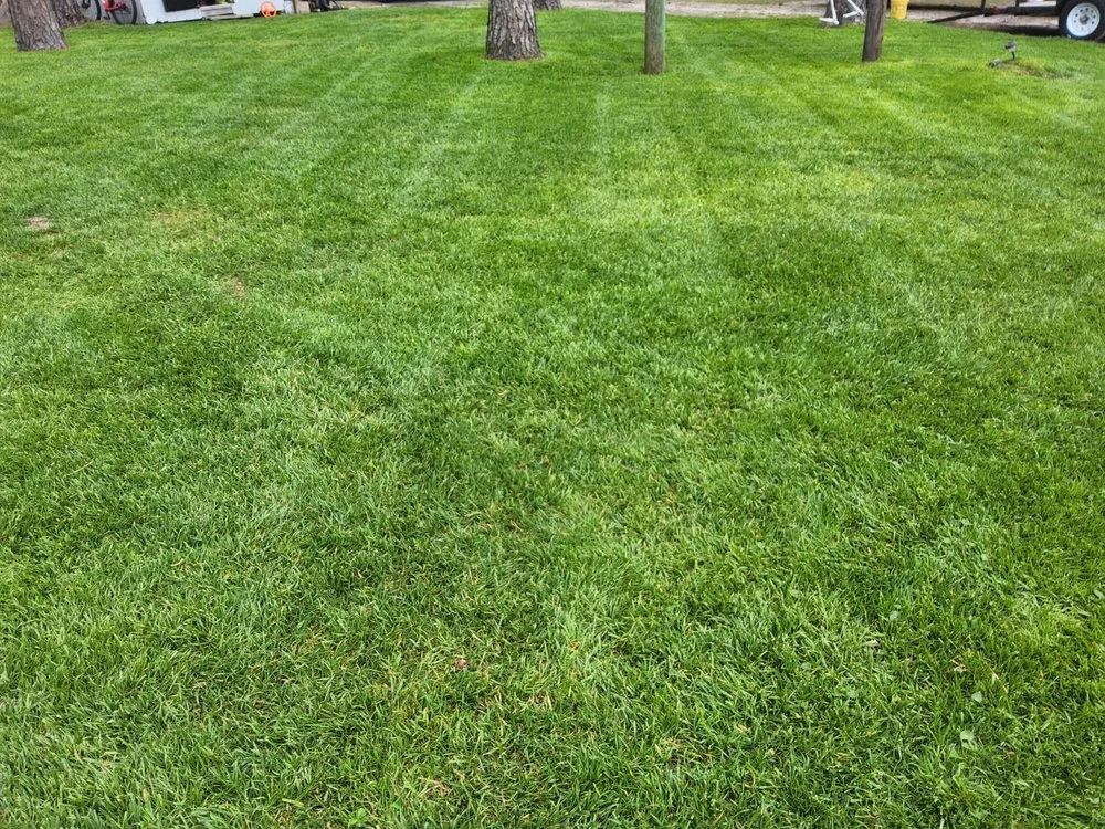 Top-rated landscape design for beautiful yards across Jacksonville, NC - Enc Turf Management