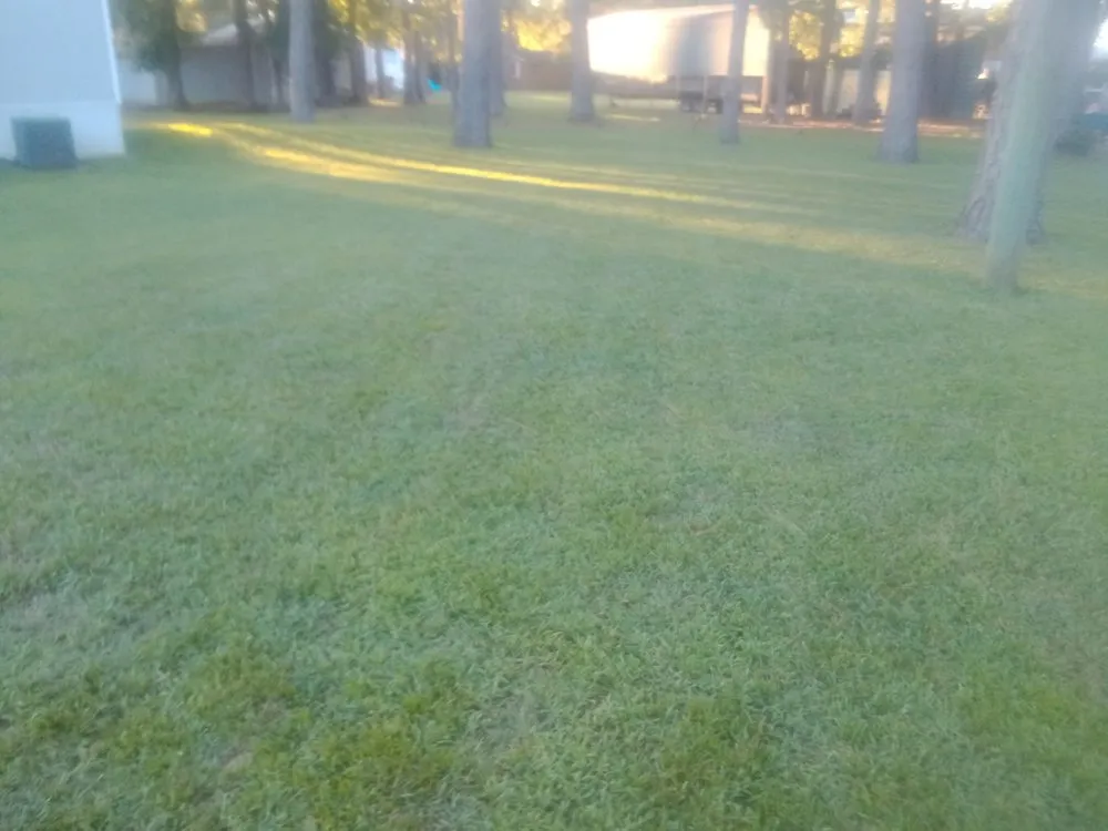 Professional lawn mowing service experts serving Jacksonville, NC - Enc Turf Management