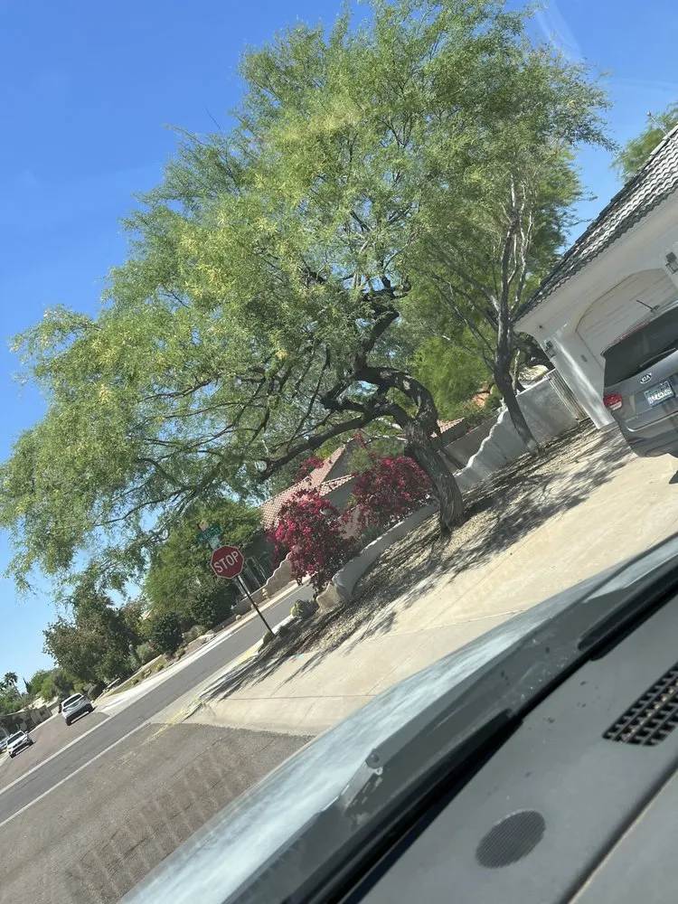 Top-rated landscape installation experts serving Tolleson, AZ - Encanto Landscaping and Design