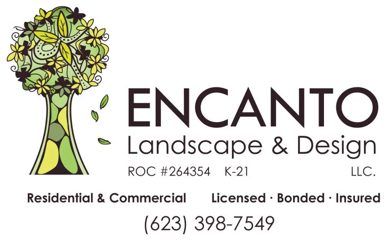Local yard cleanup service for residential properties in Tolleson, AZ by Encanto Landscaping and Design