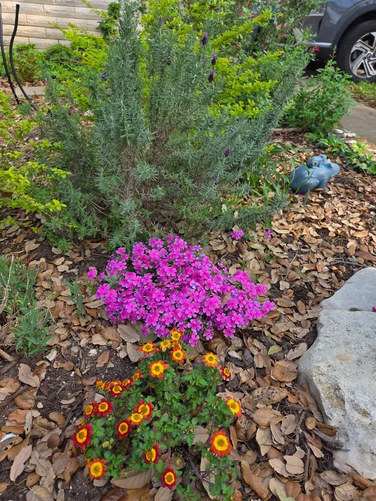 Local landscaping services with custom design across Leander, TX - Enchanted Exteriors