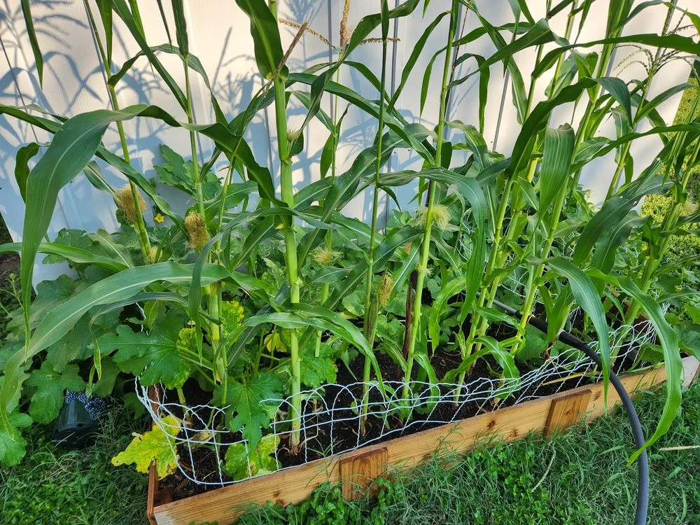 Top-rated residential landscaping for outdoor upgrades in Leander, TX by Enchanted Exteriors