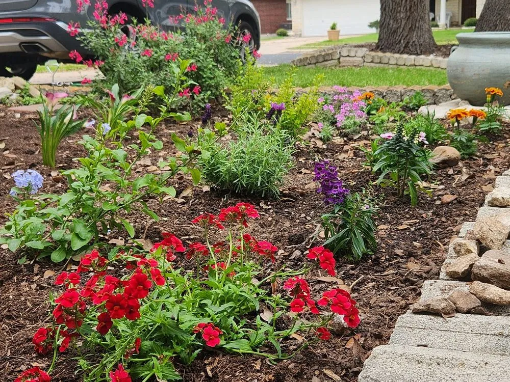 Custom lawn mowing service with custom design in Leander, TX by Enchanted Exteriors