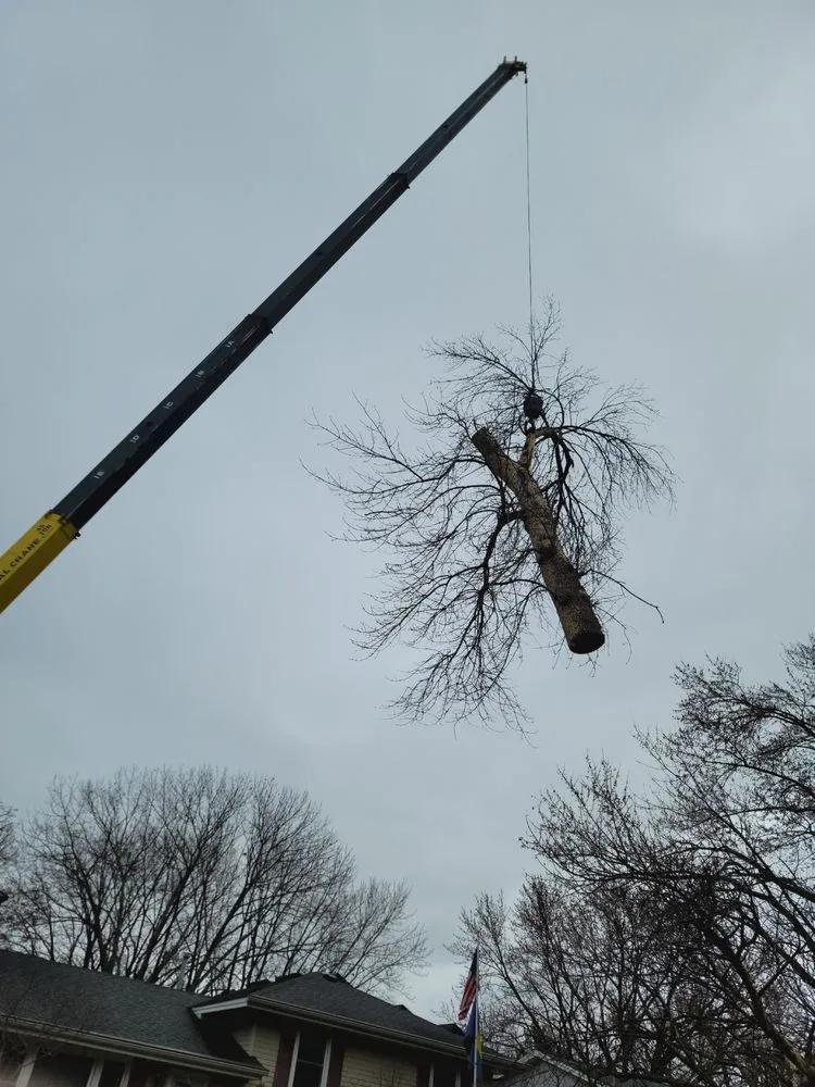 Top-rated yard cleanup service experts serving Jordan, MN - Enchanted Forests