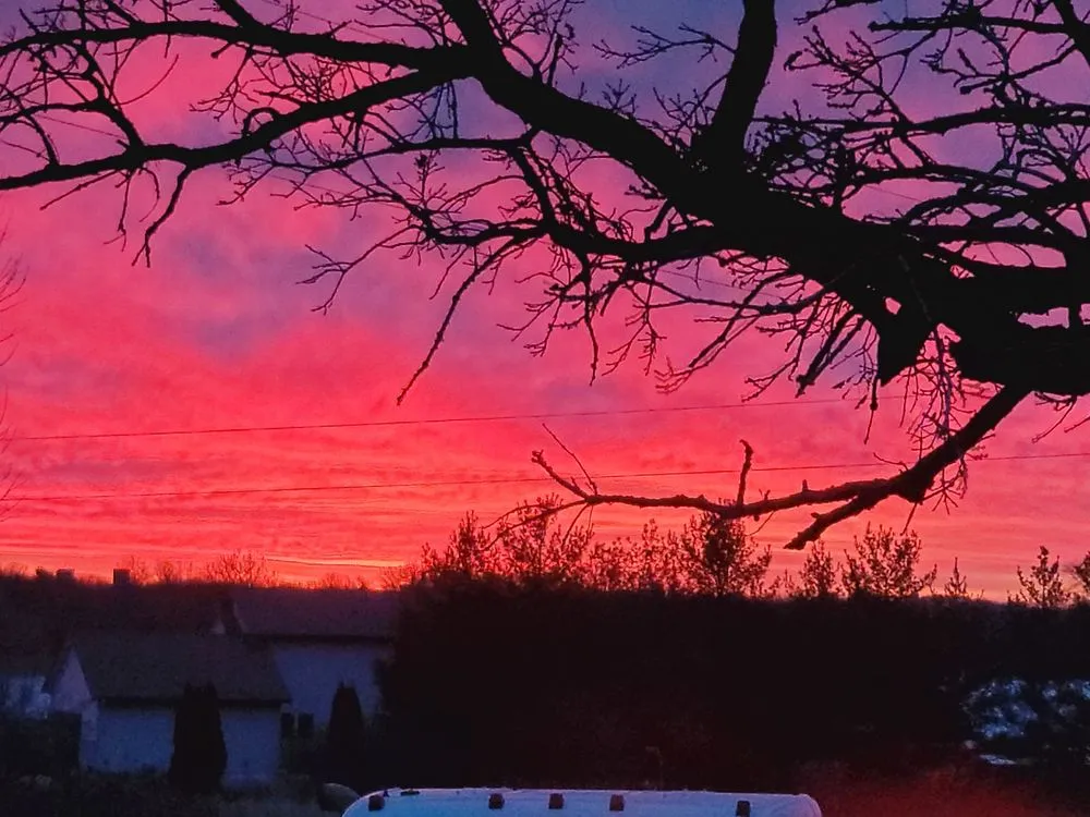 Local residential landscaping in Jordan, MN - Enchanted Forests