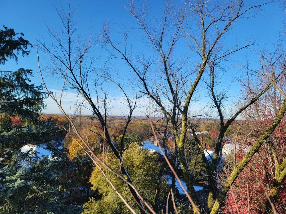 Expert garden landscaping in Jordan, MN - Enchanted Forests