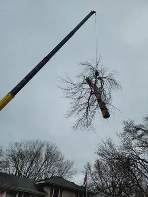 Enchanted Forests Logo