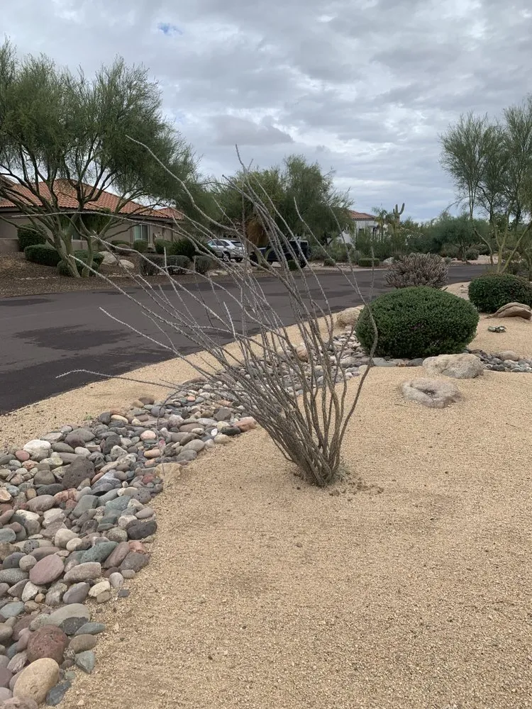 Expert garden landscaping for beautiful yards in Phoenix, AZ by Enchanted Garden Landscape