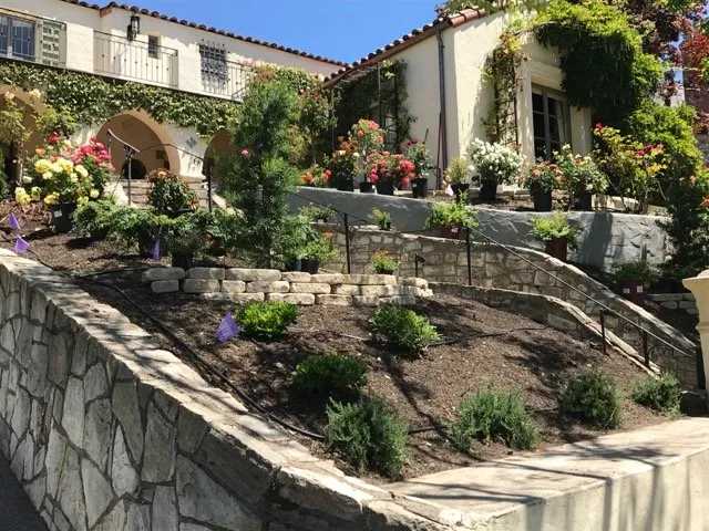 Expert landscape design in Alameda, CA by Enchanted Gardens Landscaping
