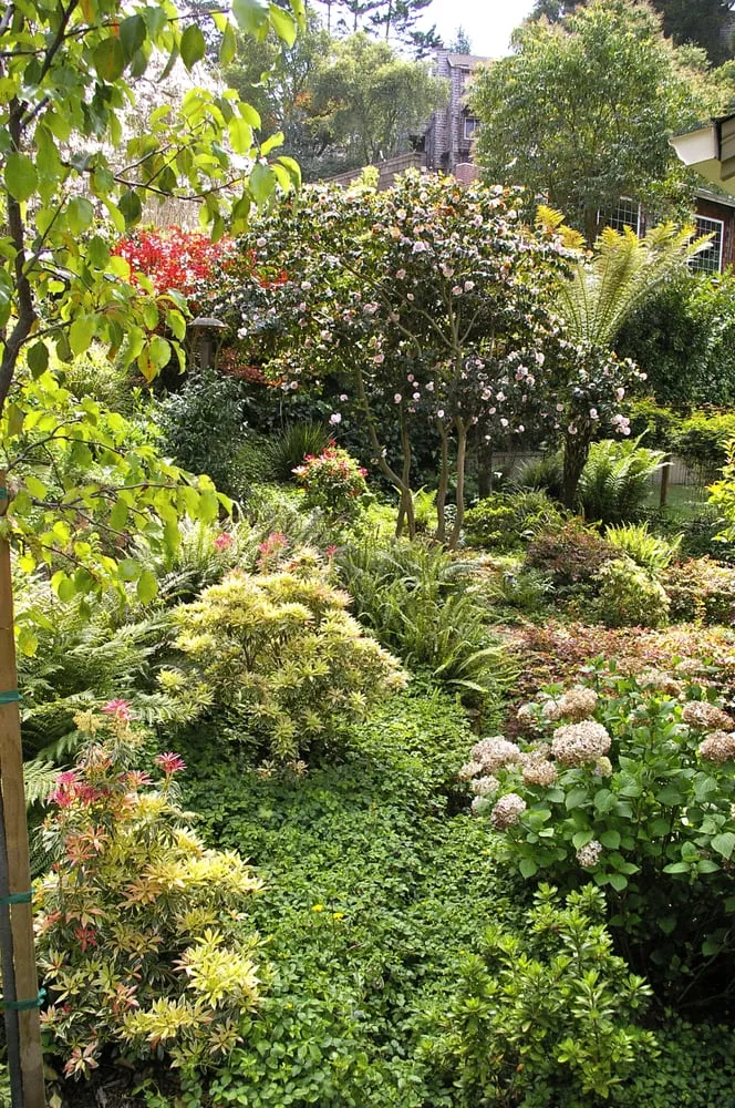 Professional residential landscaping in Alameda, CA - Enchanted Gardens Landscaping