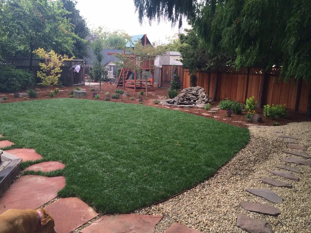 Affordable yard cleanup service in Alameda, CA by Enchanted Gardens Landscaping