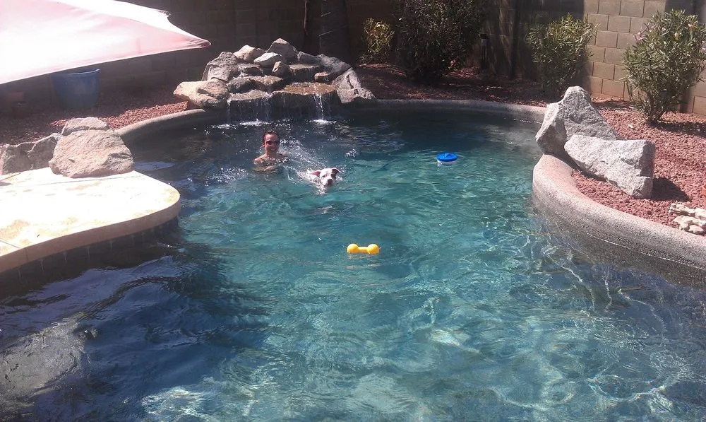 Top-rated landscape installation with custom design across Chandler, AZ - Enchanted Landscape and Pools