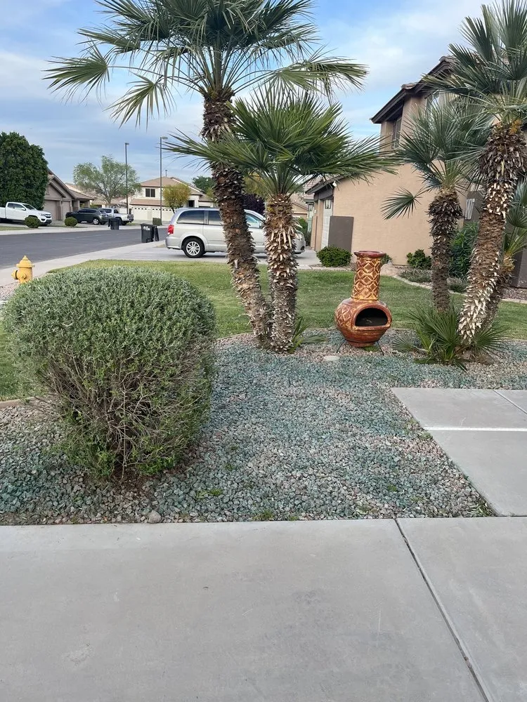 Professional landscape design near you across Chandler, AZ - Enchanted Landscape and Pools