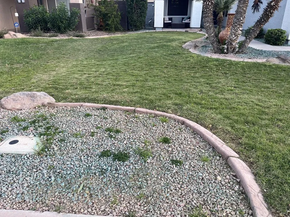 Professional residential landscaping near you in Chandler, AZ by Enchanted Landscape and Pools