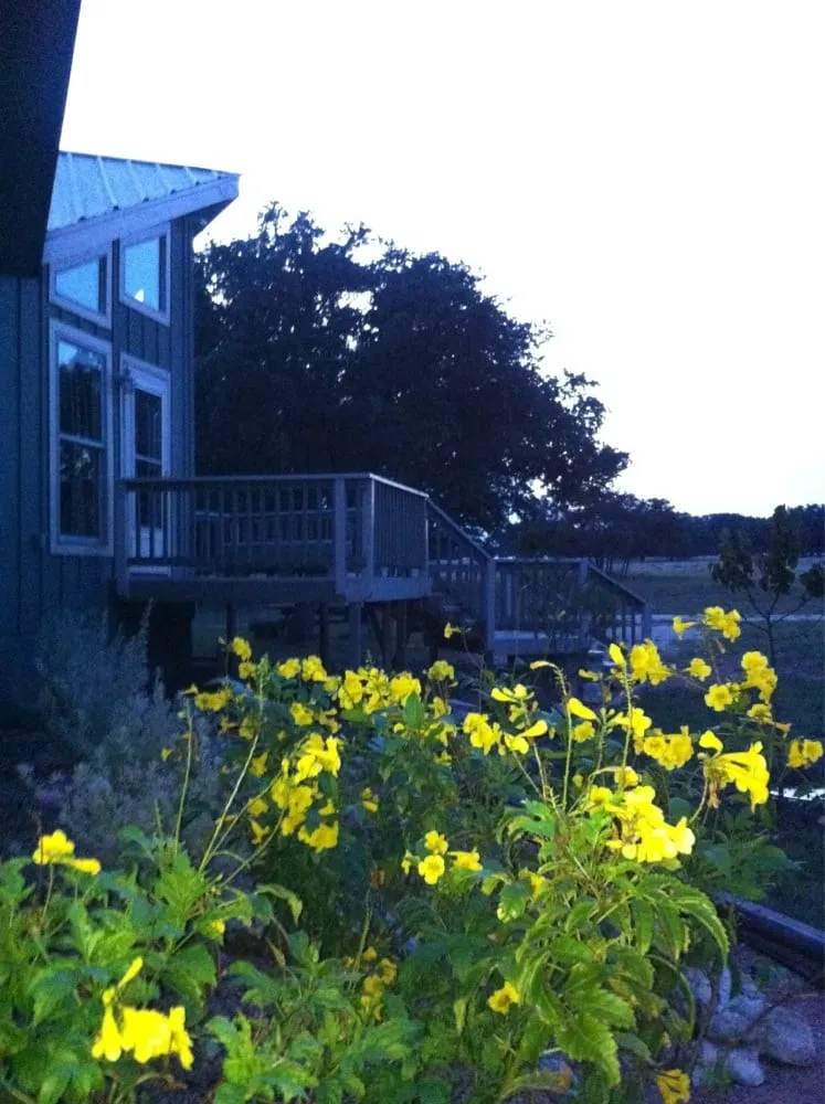 Expert yard maintenance for homes in Fredericksburg, TX by Enchanted Rock Landscaping