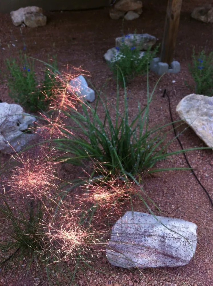 Trusted yard cleanup service experts serving Fredericksburg, TX - Enchanted Rock Landscaping