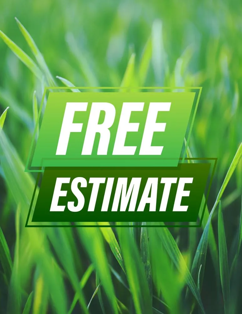 Expert yard maintenance for homes across Albuquerque, NM - Enchanted Services Landscaping