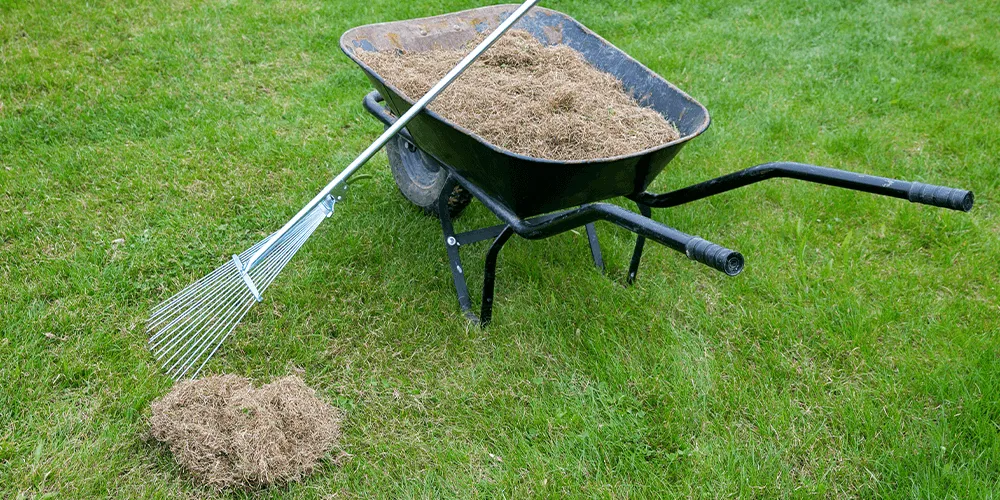 Top-rated garden landscaping in Albuquerque, NM - Enchanted Services Landscaping