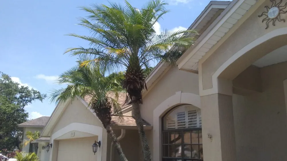 Custom lawn care service for beautiful yards across New Port Richey, FL - Enchanting Lawn and Landscape