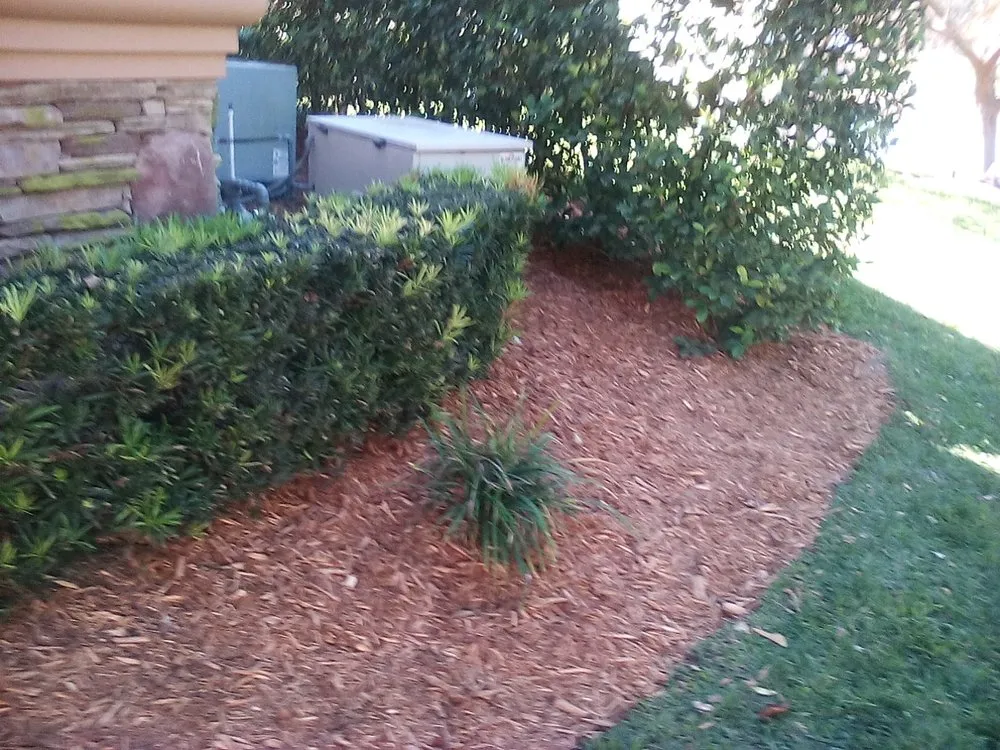 Expert yard maintenance for beautiful yards in New Port Richey, FL by Enchanting Lawn and Landscape