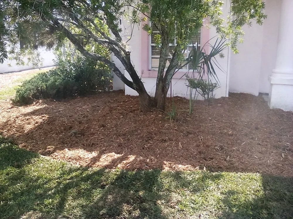 Professional lawn mowing service for outdoor upgrades across New Port Richey, FL - Enchanting Lawn and Landscape