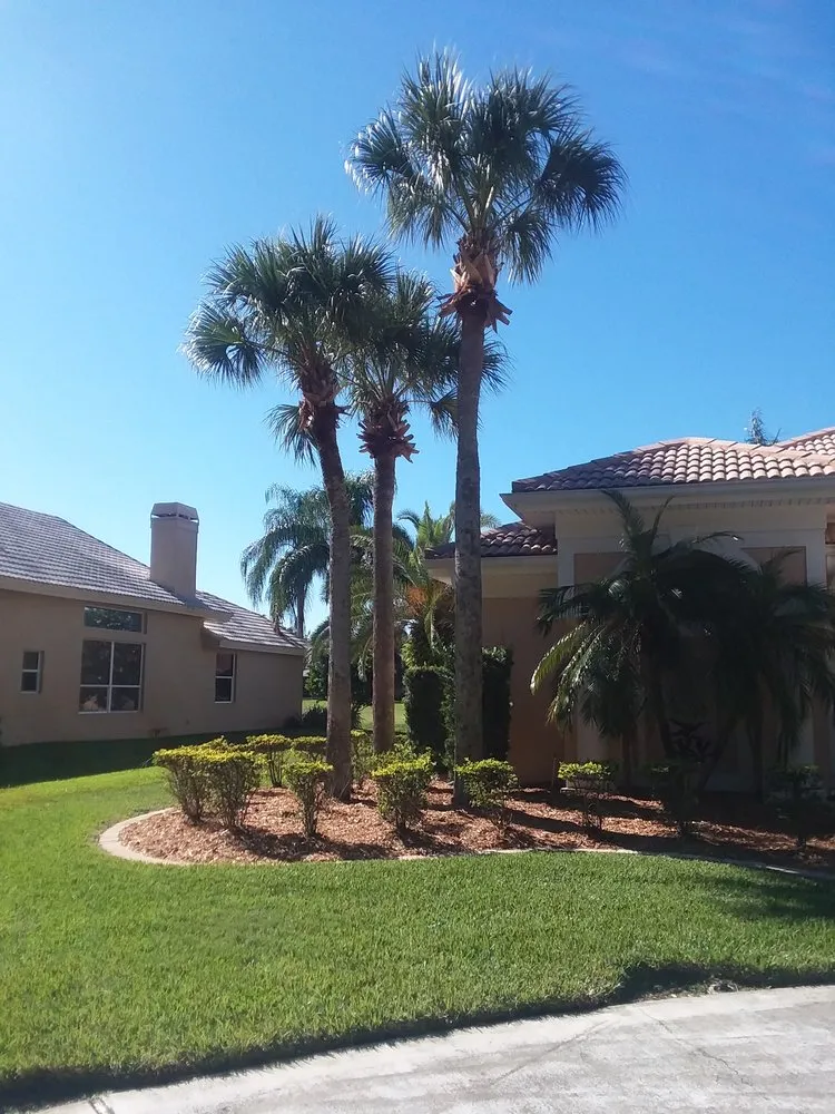 Trusted yard cleanup service in New Port Richey, FL by Enchanting Lawn and Landscape