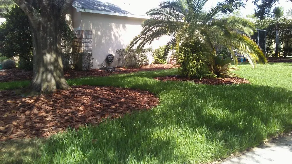 Expert outdoor landscaping experts serving New Port Richey, FL - Enchanting Lawn and Landscape