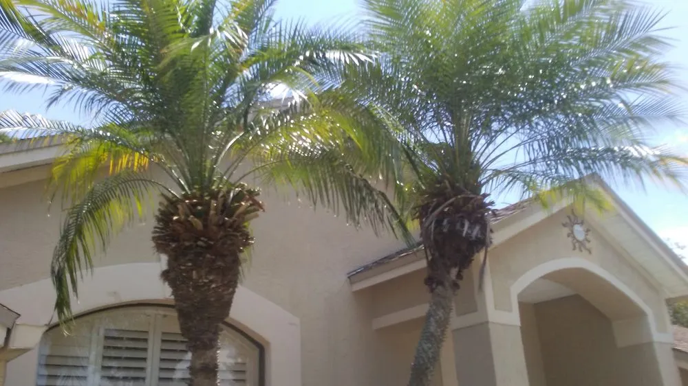 Local landscaping services for year-round maintenance across New Port Richey, FL - Enchanting Lawn and Landscape