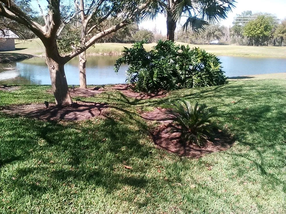 Custom landscape installation in New Port Richey, FL by Enchanting Lawn and Landscape