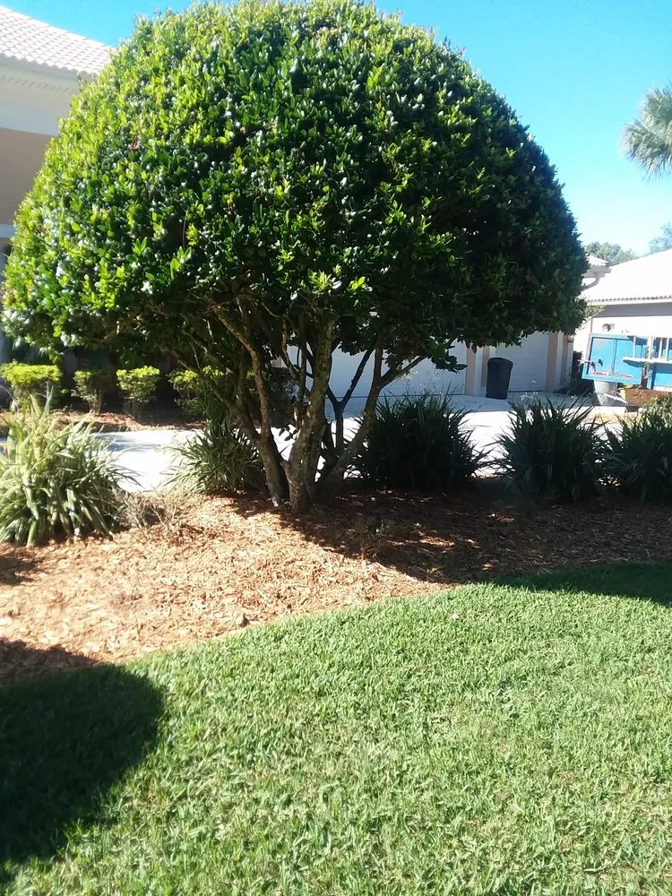 Custom outdoor landscaping for beautiful yards across New Port Richey, FL - Enchanting Lawn and Landscape