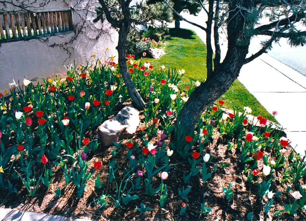 Reliable garden landscaping experts serving Albuquerque, NM - Enchantment Landscapes