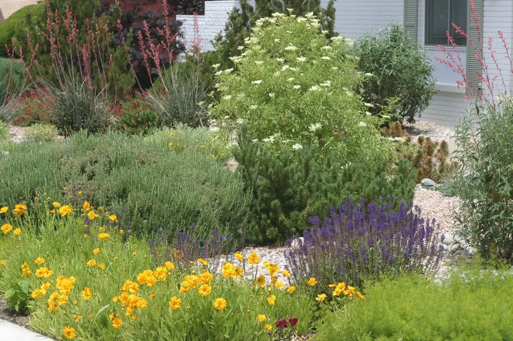 Custom yard maintenance for outdoor upgrades across Albuquerque, NM - Enchantment Landscapes