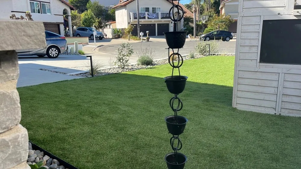 Top-rated yard cleanup service in Solana Beach, CA - Encinitas Landscape