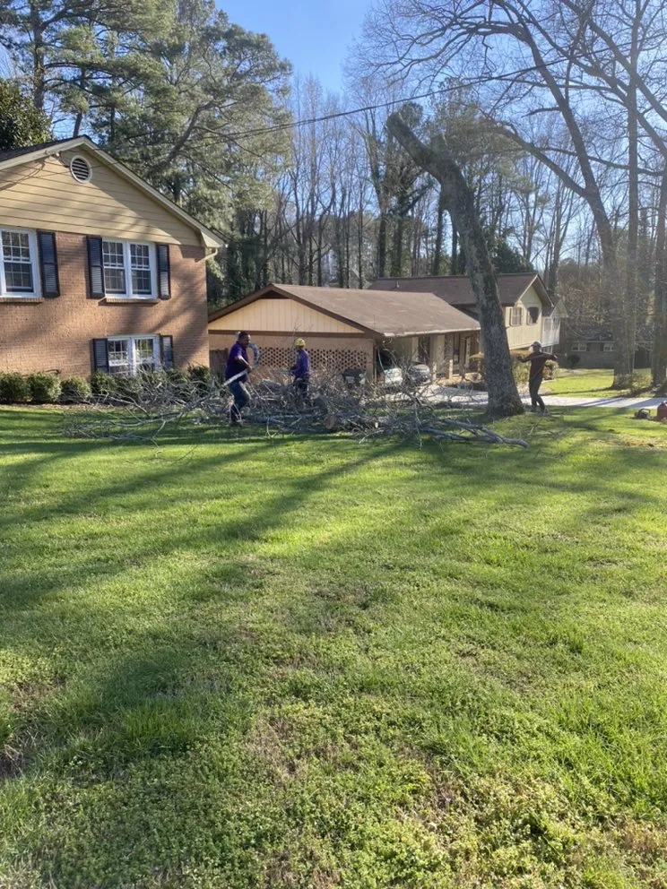 Reliable residential landscaping near you in Houston, TX by Encinos General Tree and Landscape