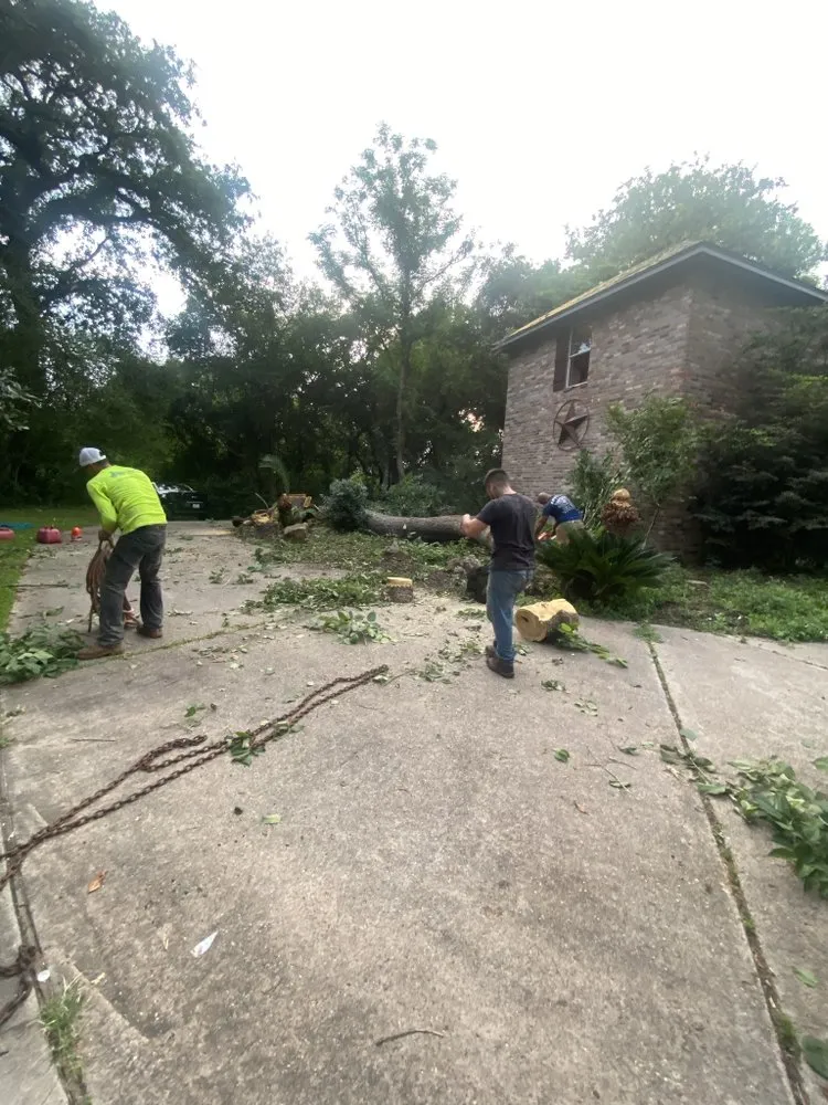 Expert landscape design for outdoor upgrades in Houston, TX by Encinos General Tree and Landscape