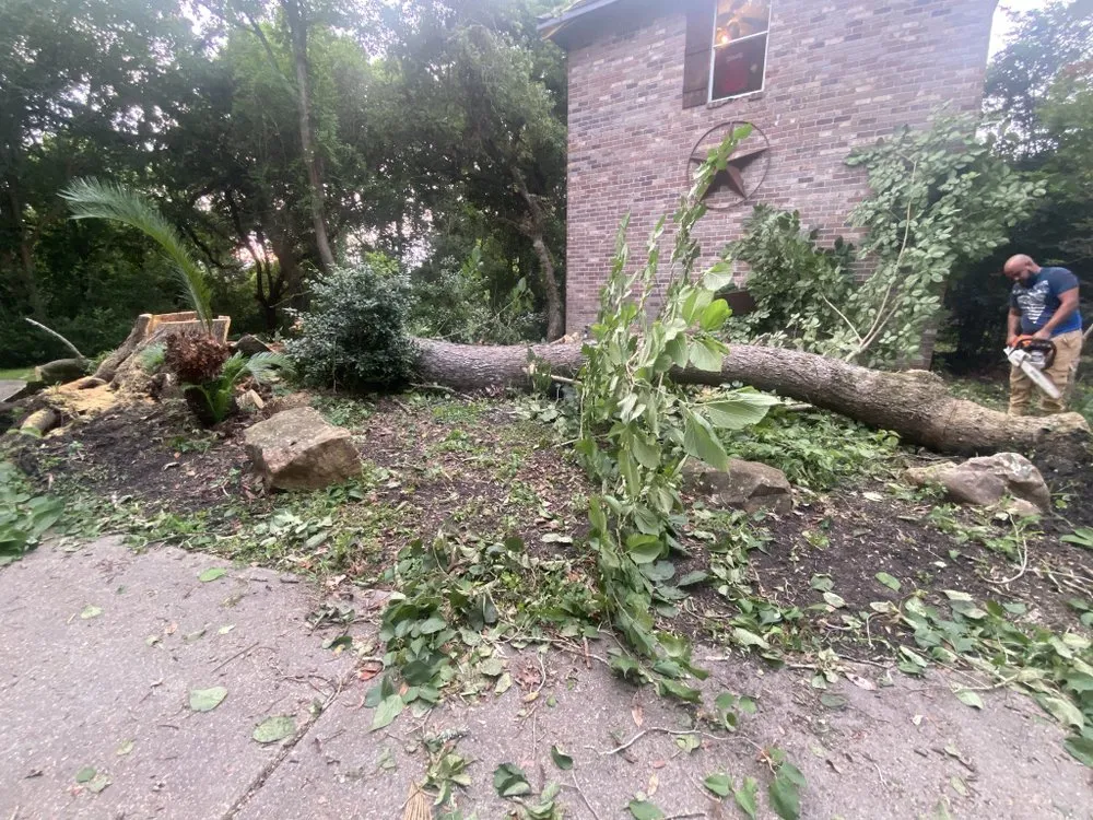 Local residential landscaping in Houston, TX - Encinos General Tree and Landscape