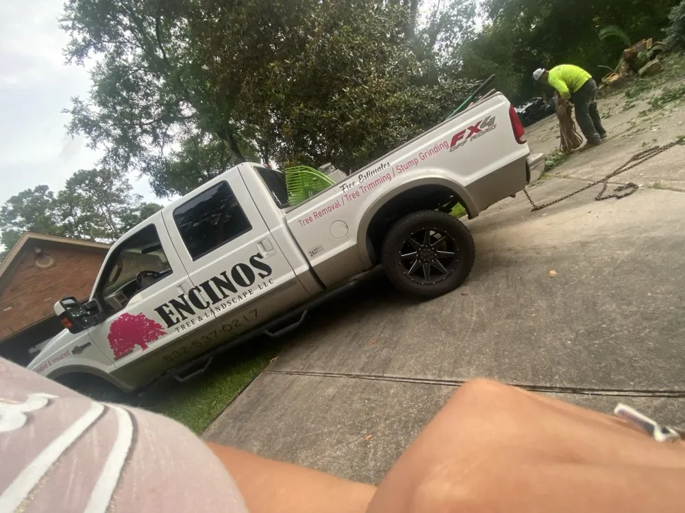 Local garden landscaping near you in Houston, TX by Encinos General Tree and Landscape